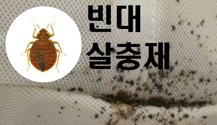 빈대 살충제 - 추니블로그